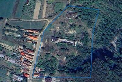 Domeniu de 13.500 mp: potential investitie fabrica de carami - 3