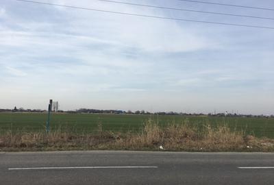 Teren Construcții intravilan de 9903 mp, în Ghighiu