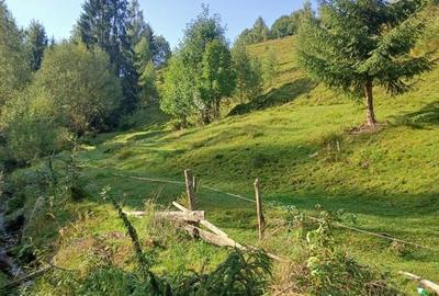Teren în Măguri - 2