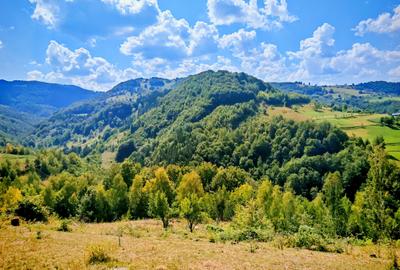CASA TRADITIONALA, ANEXE si 46.980 mp teren partial INTRAVILAN BULZ - BIHOR - 21