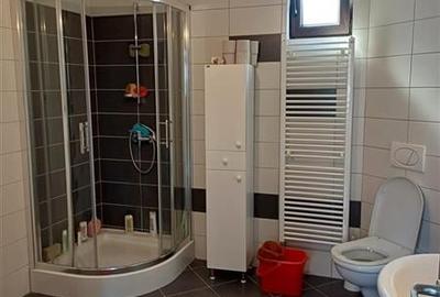 2 Case de vanzare langa liceu in Talmaciu - 8