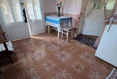 Casă cu 3 camere cu Teren 3600 Mp în Bicaz - 6
