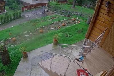 Casă cu 5 camere cu Teren 2300 Mp în Central - 7