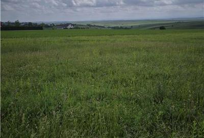 Teren agricol extravilan de 800 mp, în Moara Nica - 4