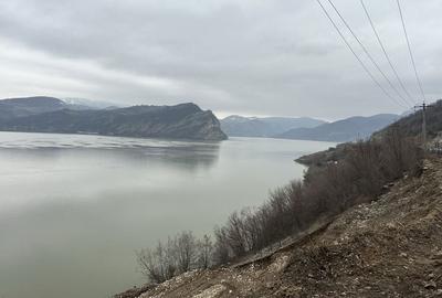Teren de 1720 mp, în Svinița - 3
