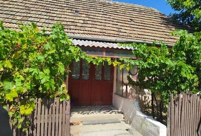 Casă cu 6 camere cu Teren 1596 Mp în Nerău - 3
