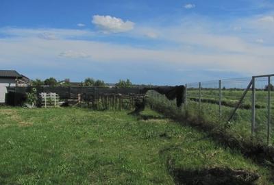 Teren Construcții intravilan de 700 mp, în Cornetu - 6