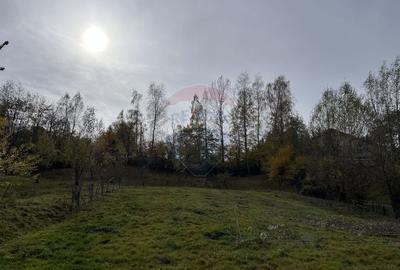 Teren de Vis in Bran - 1000mp Plat, Liniste Absoluta si Aer Curat - 11