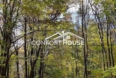 VILA D+P+E+M, 12 camere, piscina , padure, IANCU NICOLAE - 45