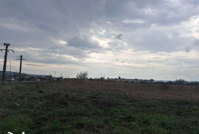 Teren de 26112 mp, în Ernei - 5