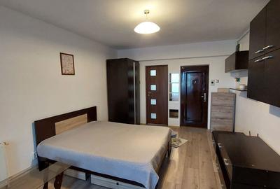 Garsonieră decomandată în Valea Ialomiței - 3