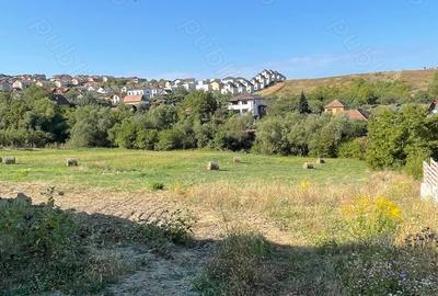 Teren în Dezmir - 5