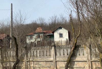 Casă cu 6 camere în Melinești - 2