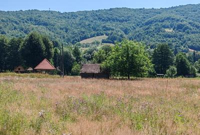 Teren Construcții intravilan de 2500 mp, în Negreni
