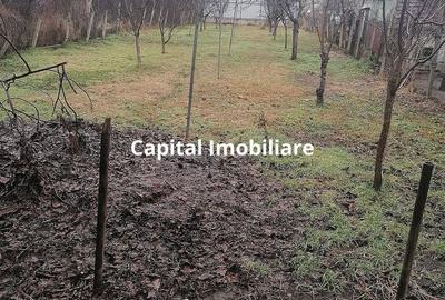 Casă cu 3 camere cu Teren 895 Mp în Central - 14