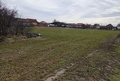 Teren de 5900 mp, în Mihai Viteazu - 3