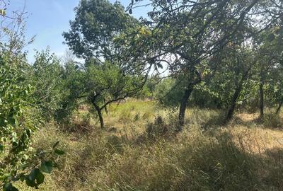 Spațiu comercial, în Central - 3