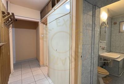 Apartament 2 camere mobilat si utilat, Str. Ignisului Nr.22, Etaj II - Carei - 8