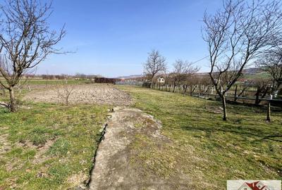 Casă cu 6 camere cu Teren 1043 Mp în Bistra - 11