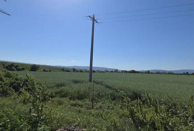Teren de 5255 mp, în Central