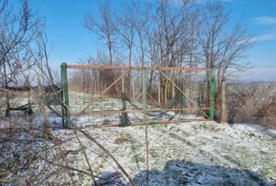 Teren de 50000 mp, în Ciorani - 2