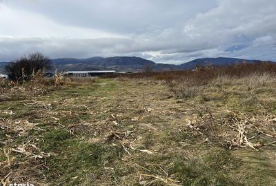 Teren de 7000 mp, în Central - 2