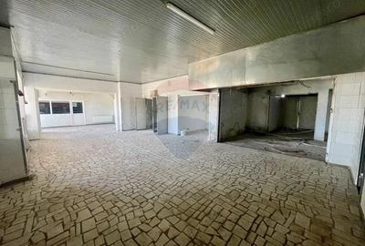 Spațiu comercial, de 300 mp, în Cosmești - 2