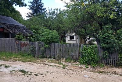 Hulubesti Dambovita