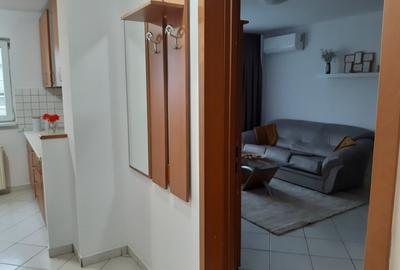 Garsonieră decomandată, mobilată în Banu Manta - 5