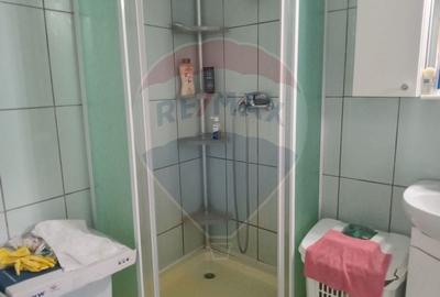 OCAZIE!!! CASA SUPERBA cu teren in JULITA jud Arad in M tii Zarandului - 25