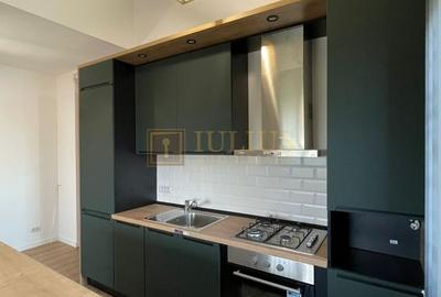 Calea Urseni, prima inchiriere, spatiu aditional de depozitare, - 4