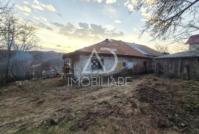 Casă individuală cu 4 camere cu Teren 1748 Mp în Cernișoara - 3