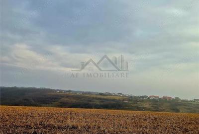 Teren de 861 mp, în Miroslava