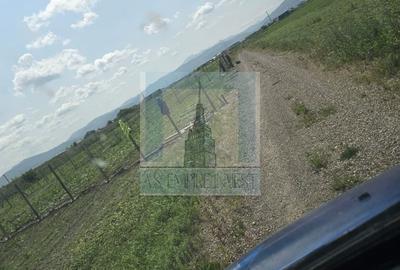 Teren extravilan de vanzare in Harman - 6