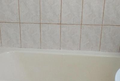 Garsonieră nedecomandată în Tătăruși - 2