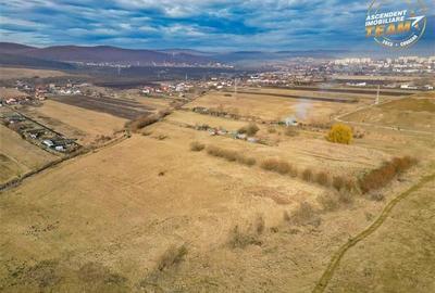 Teren extravilan de 5.800 mp in Sfantu Gheorghe:oportunitate Investie/Exploatare - 5
