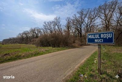 Spațiu comercial, în Balta Neagră - 3