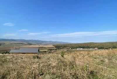 Teren de 2200 mp, în Ciurila - 2