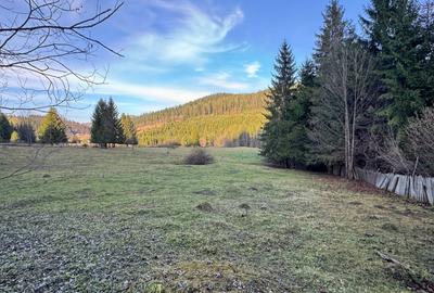 De vanzare 6850 mp pasune langa Manastirea Doroteia - Frasin /Plutonita - 5