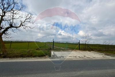 Teren agricol extravilan de 60000 mp, în Săcele - 1