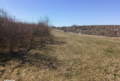 Spațiu comercial, în Nou