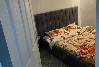 Casă cu 2 camere cu Teren 920 Mp în Cetate - 8