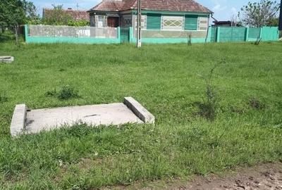 Casă cu 2 camere în Alioș - 4