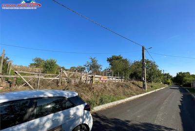 Teren de localitatea Telita-judetul Tulcea - 3