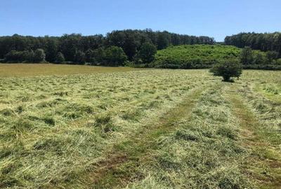 Teren arabil de 630 hectare in Gala?i - 2