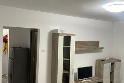 Apartament cu 2 camere semidecomandat, mobilat în Gemenii - 3