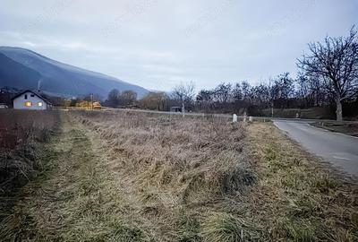 Teren în Vețel - 3