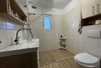 Apartament cu 2 camere decomandat în Dosu Bricii - 4