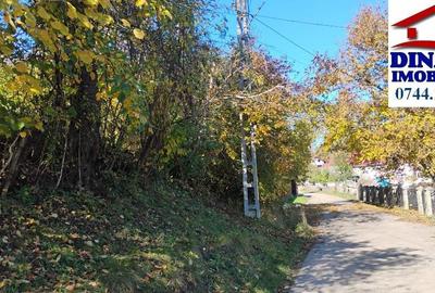 3600 mp teren intravilan, sat Bistrita, 12 Euro/mp - 3