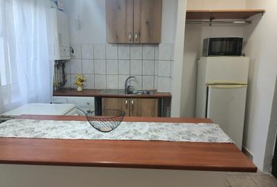 Apartament cu 2 camere, mobilat în Brotăcei - 4